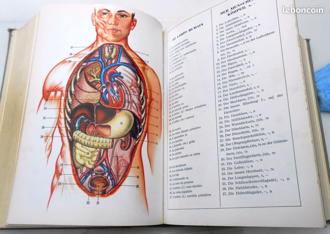 Dictionnaire GARNIER allemand français-français allemand (vic) (image 3)
