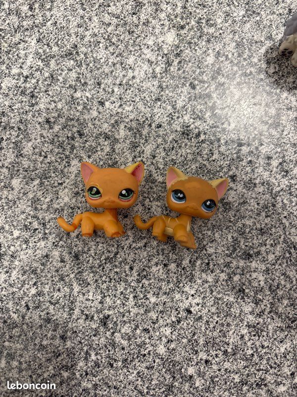 Petshop Chat Roux yeux bleus rare (image 1)