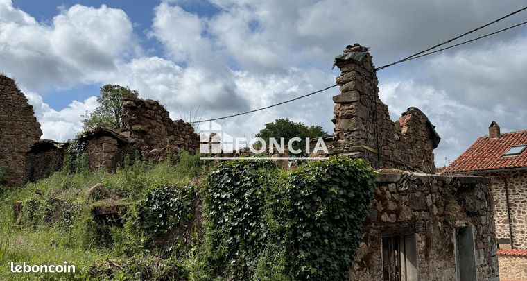 Au calme près de St Junien : terrain constructible avec deux ruines (maison disposant d'un four à pains et grange disposant d'un puits)