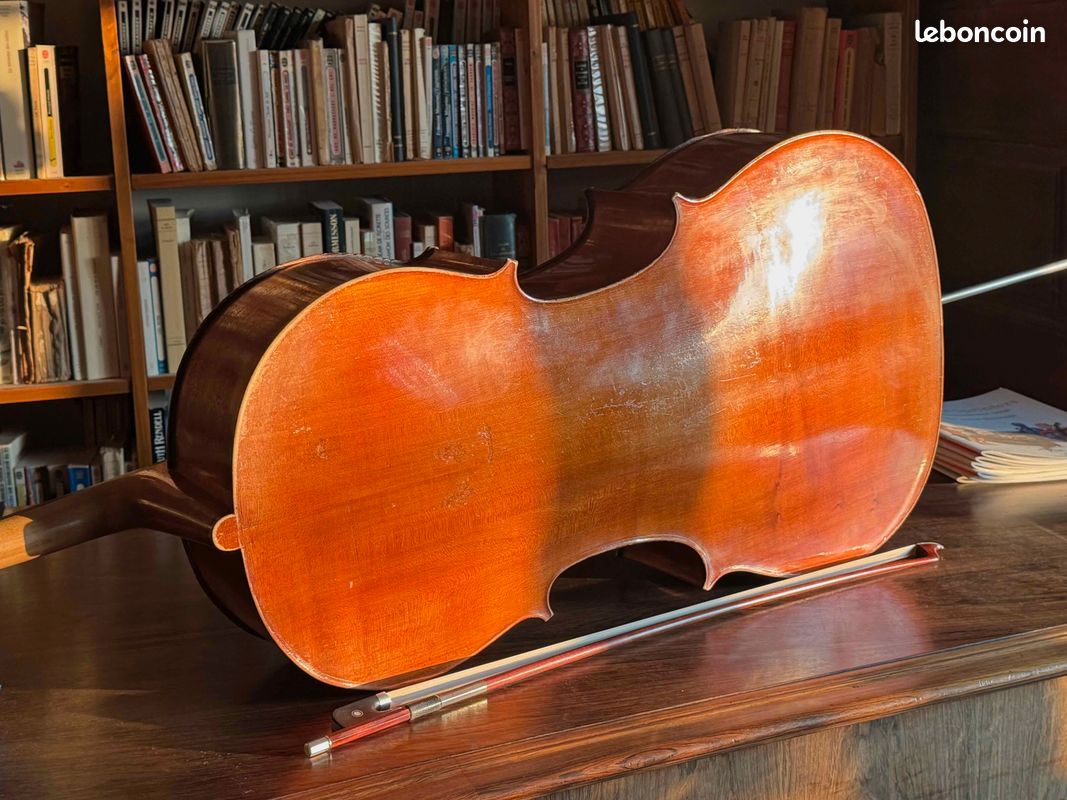 Cours de violoncelle (image 2)