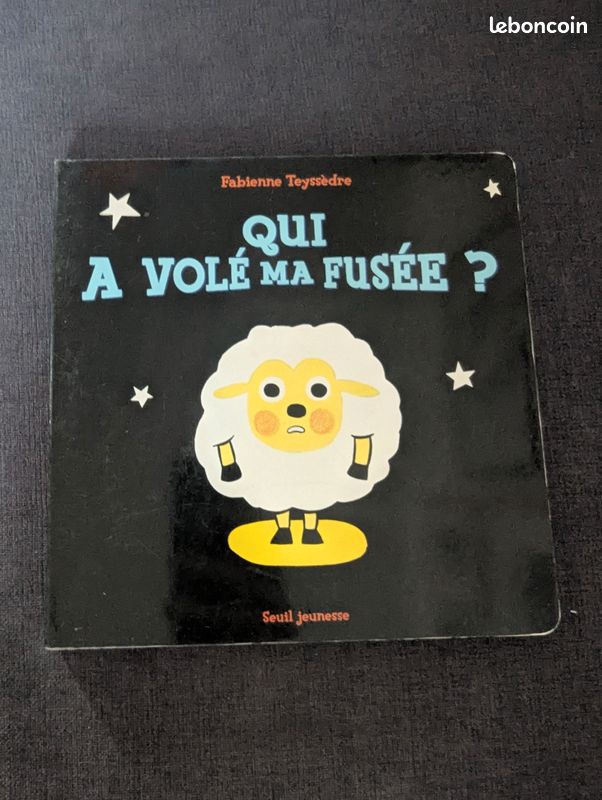 Qui a volé ma fusée ? Fabienne Teyssèdre (image 1)