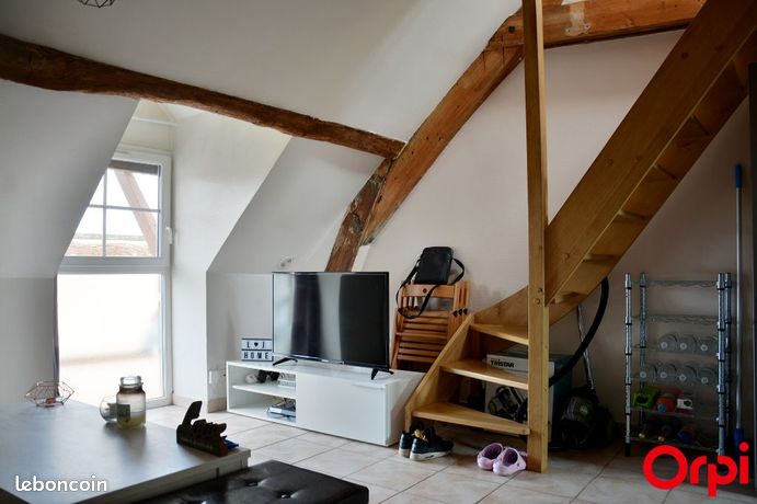 Appartement 1 pièce 19 m²