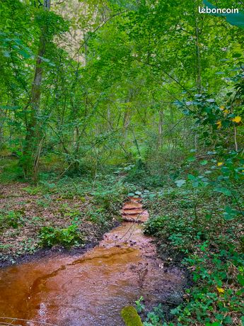 Propriété Forestière de 7.5 Hectares