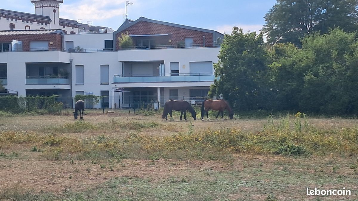 Appartement 2 pièces 35 m² · à Illkirch-Graffenstaden · 35 m² · 700 €/mois