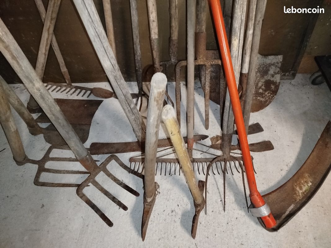 lot-d-ancien-outils-de-jardinage-jardin-plantes