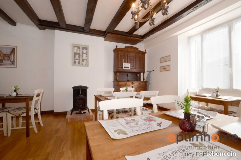 Maison 10 pièces 352 m² - Ansac-sur-Vienne 16500 (image principale 18)
