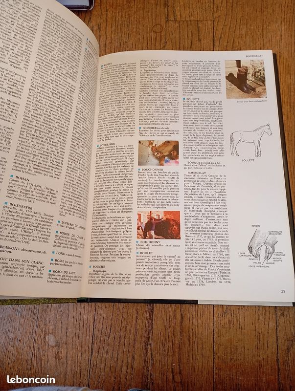 Dictionnaire encyclopédie du cheval Jaques Tondra (image 2)