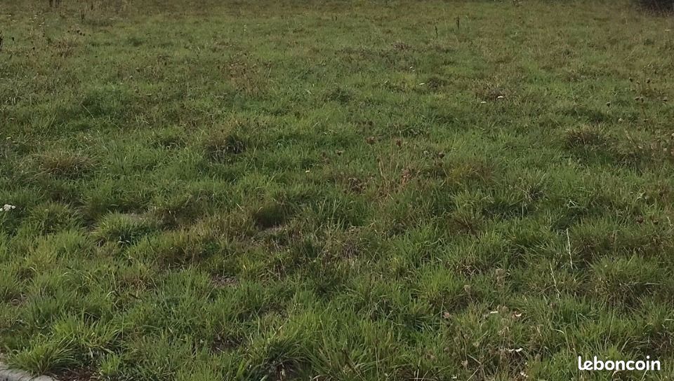 Terrain 510 m² Putanges Pont Ecrepin · à Putanges-le-Lac · 23 000 €