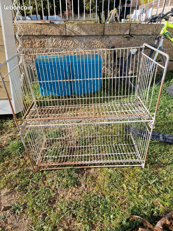Présentoir Vendeur Carte Couleur Yakima Hawg Boss – Leurre Crapaud Vintage 90s (Scellé)