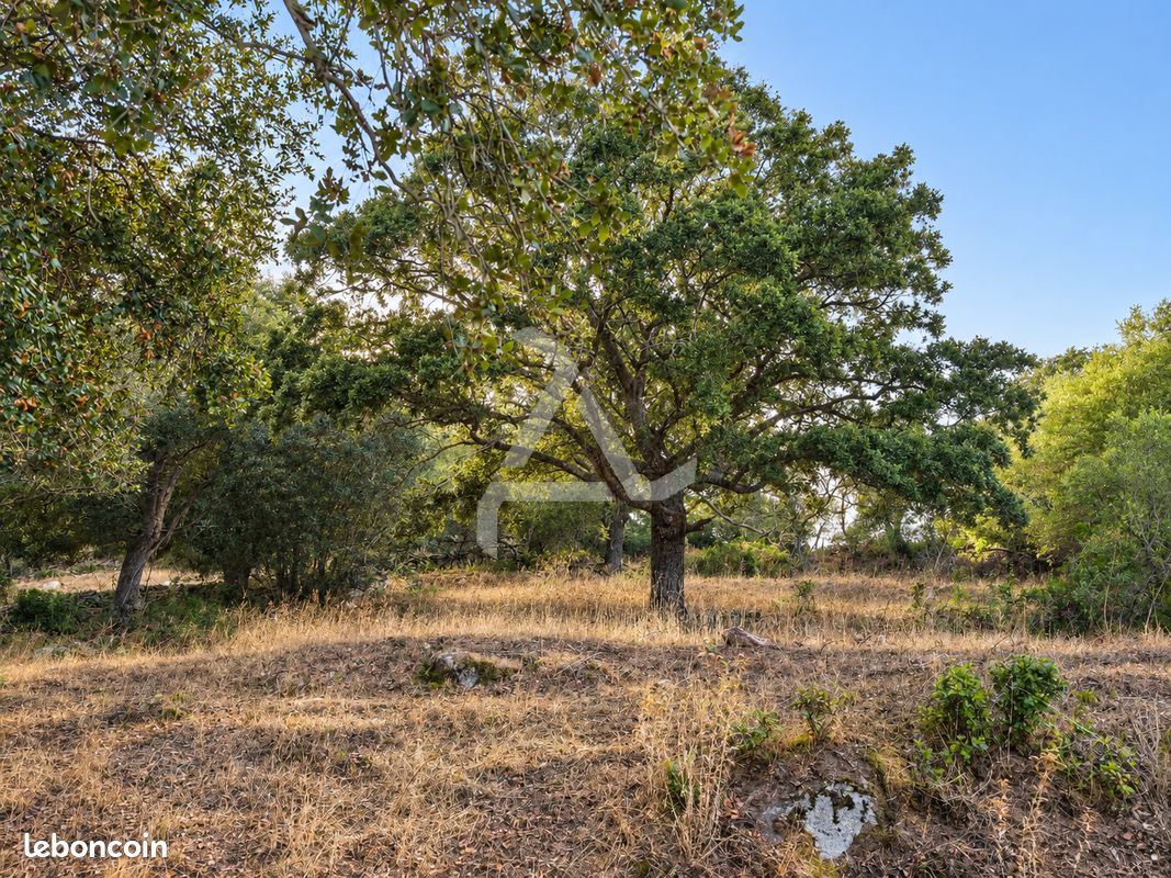 Terrain 18830 m² Porto-Vecchio (image 7)