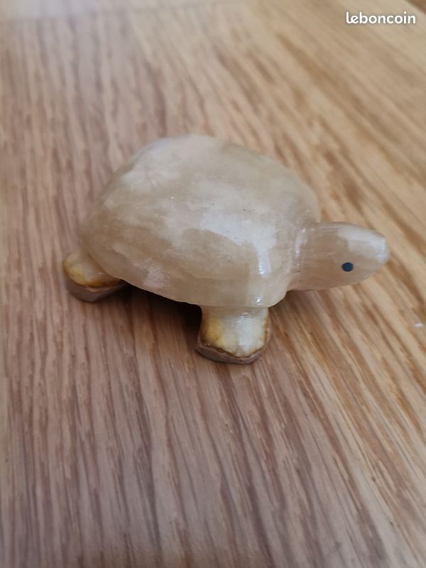 Tortue en nacre (image 1)
