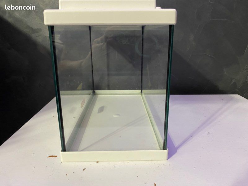 Aquarium (image 2)