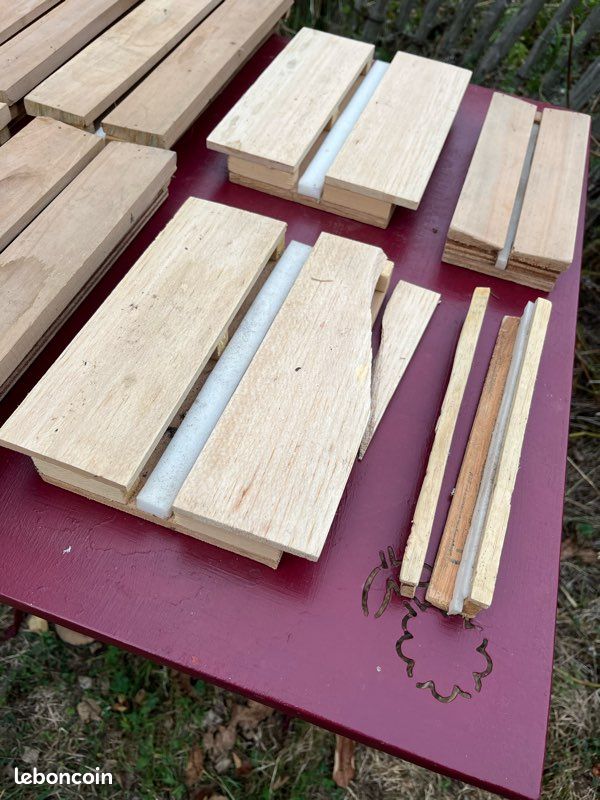 Lot d’étaloirs à papillons (image 4)