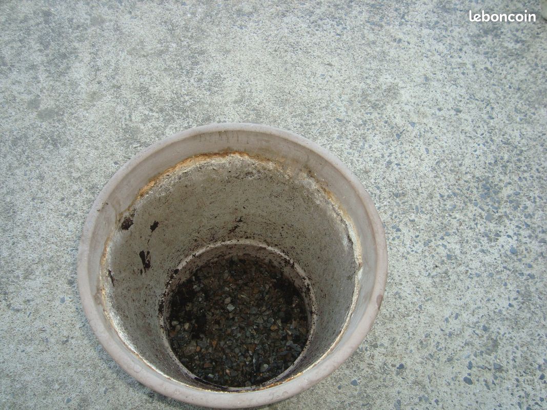 Pot de fleur en terre (image 3)