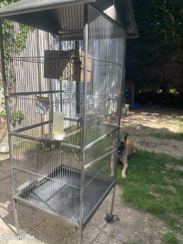 Cage à oiseaux (image 3)