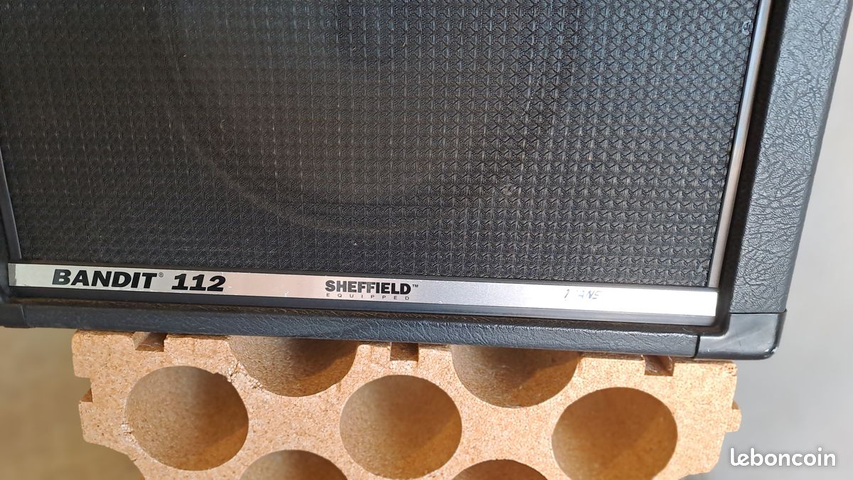 Guitare électrique Washburm est ampli PEAVEY 100w (image 9)