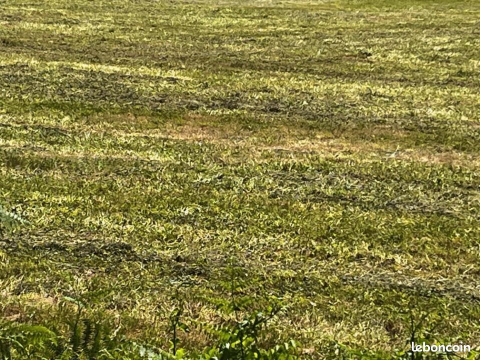 Terrain 760 m² Cognac · 45 000 €