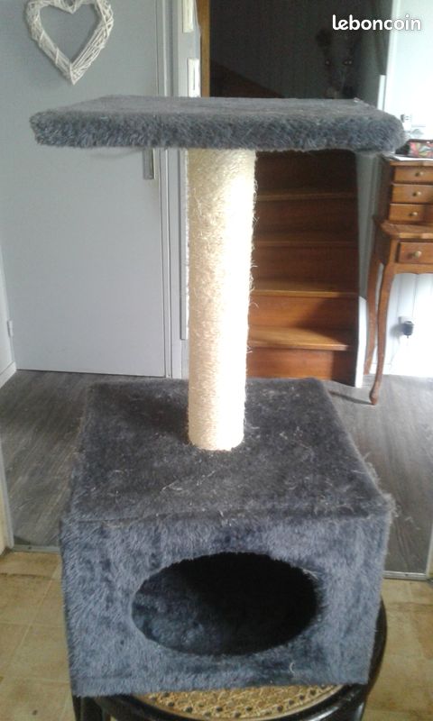 Différents accessoires pour les chats (image 1)