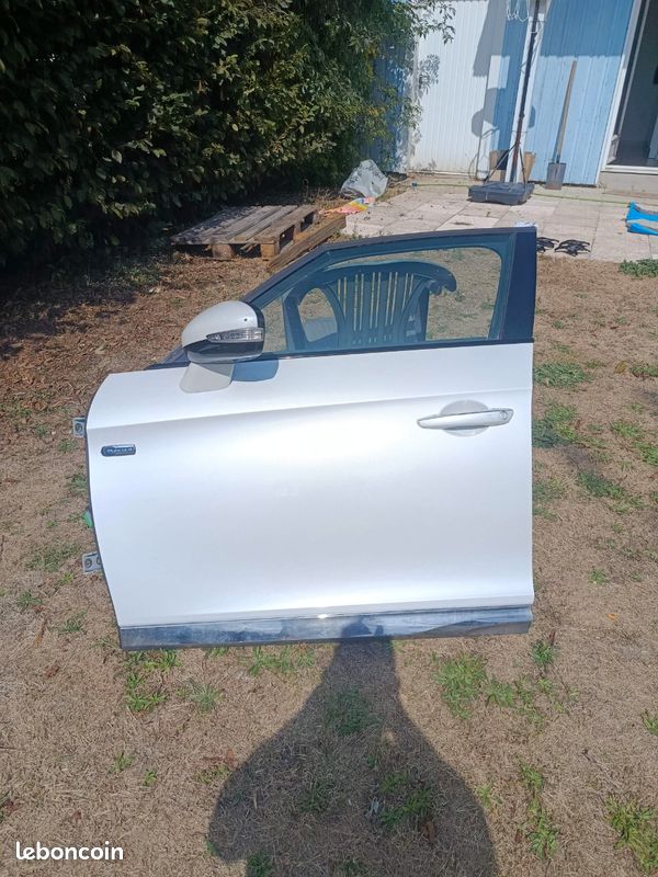 Porte conducteur DS5 (image 1)