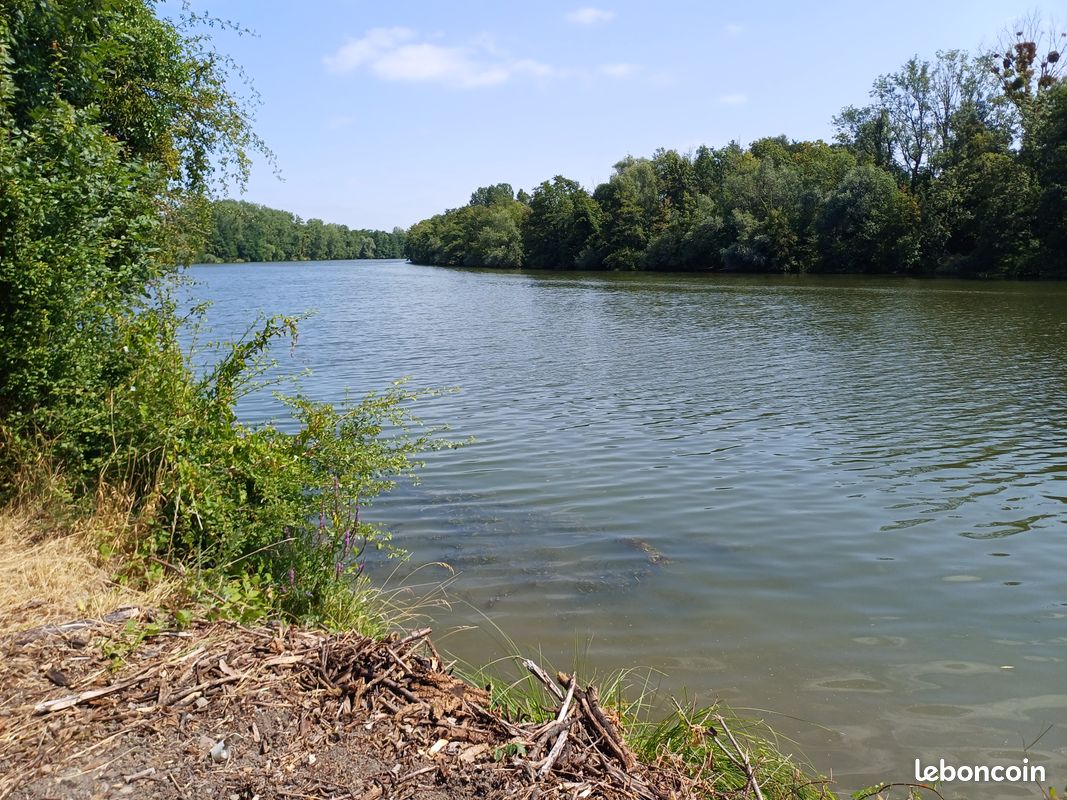 RARE Terrain boisé en bordure de Moselle · à Ancy-Dornot · 12 900 €