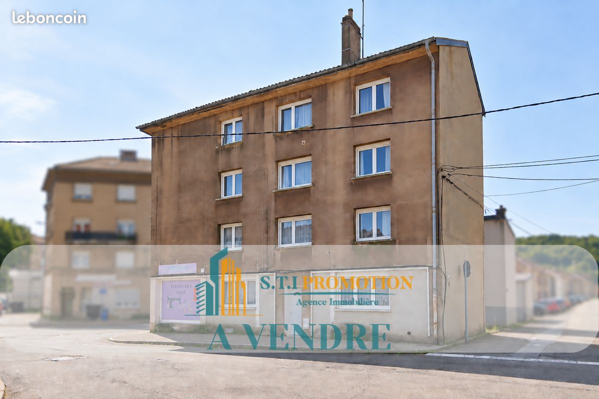 Immeuble 214 m² · à Villerupt · 214 m² · 425 000 €