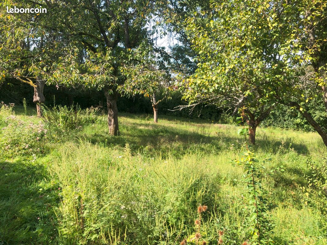 Terrain 951 m² · à Illfurth · 951 m² · 76 000 €
