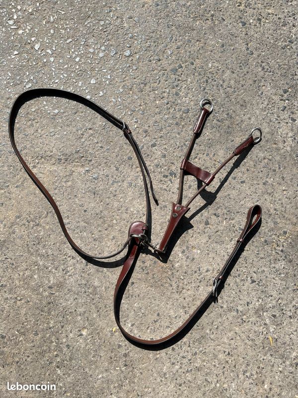 Martingale taille cheval (image 2)