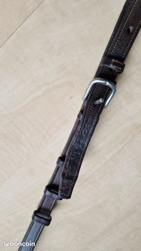 Collier De Chasse HFI Elastique + Martingale | Collier De Chasse