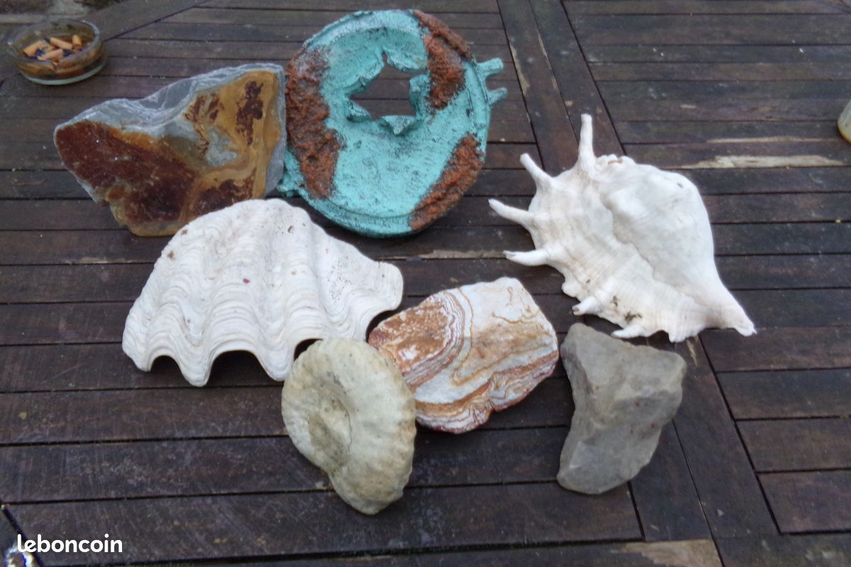 Décoration aqua (image 1)