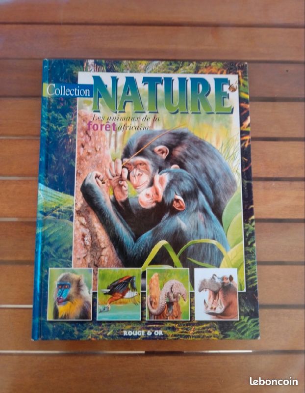 Livre pour enfants - Animaux de la forêt africaine (image 1)