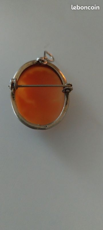 Broche Ancienne Camée Coquillage – Bijou Vintage Doré En Alliage – Parfait Pour Collectionneurs