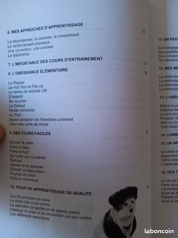 Entraîner ton chien facilement en seulement 15 minutes par jour " découvre la méthode positive tendresse tout en vous amusant " (image 6)