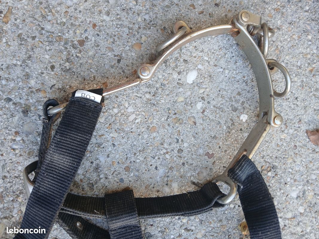Caveçon pour longer,travail du cheval NYLON noir taille COB avec bouclerie chromé (image 2)