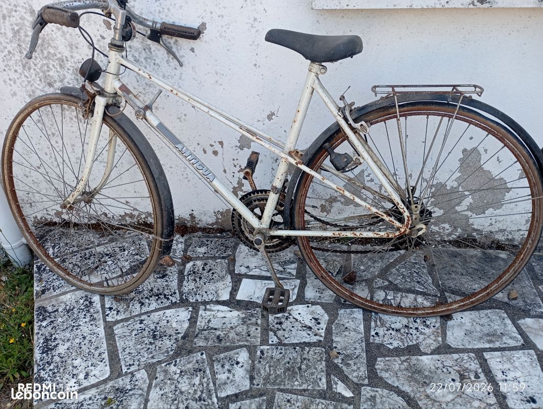 Vélo adulte Antigua (image 4)