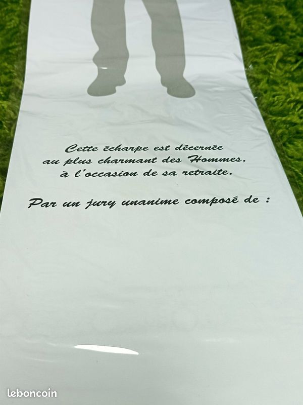 Écharpe Humoristique 'Mister Retraite' Bleu - Cadeau Drôle Pour Départ à La Retraite
