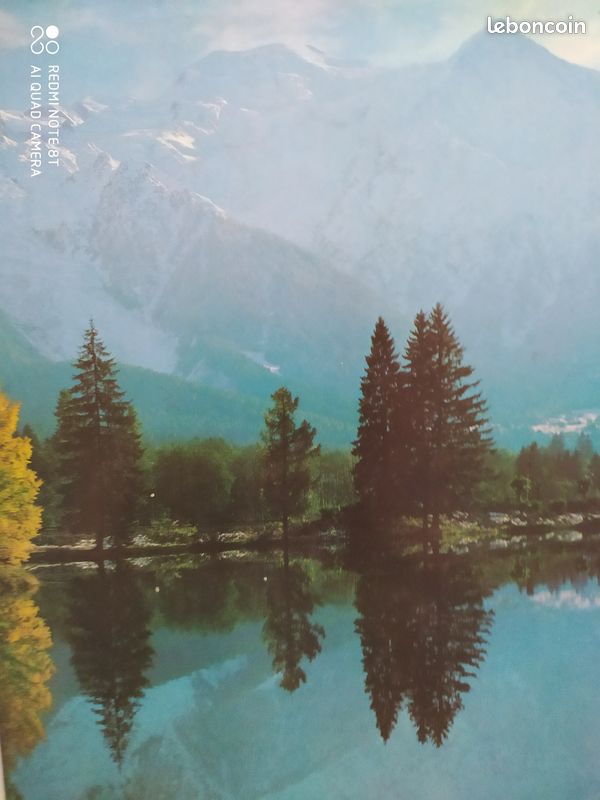 Livre les Alpes (image 2)