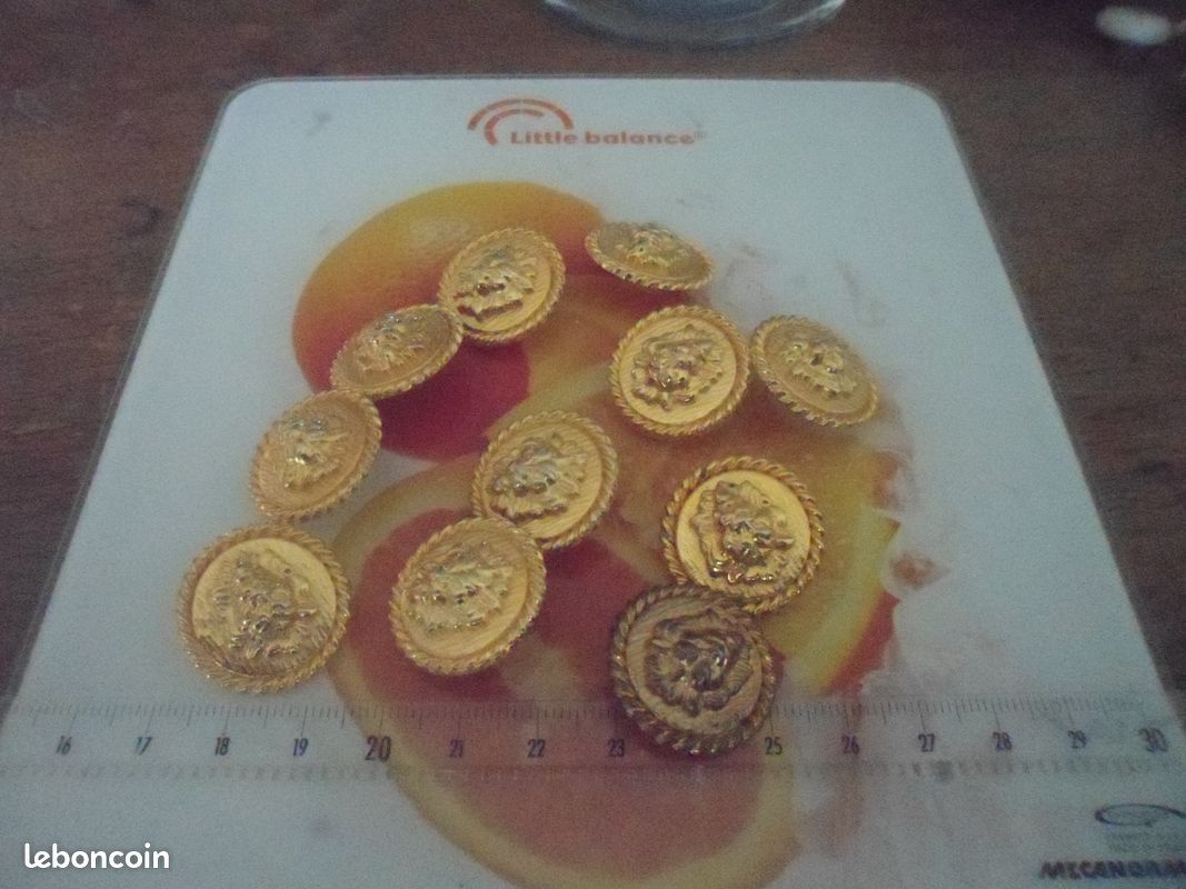 Boutons x 11 dorées tête de Lion (image 1)