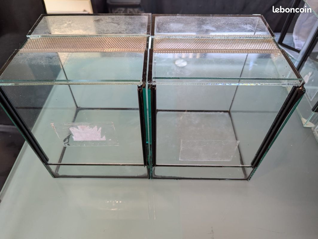 Terrariums guillotine 20/20/25 (image 1)