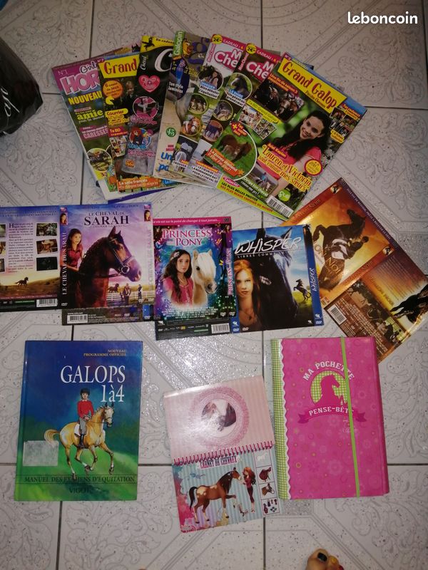 Magazine cheval + livre + pochette+ carnet (image 1)