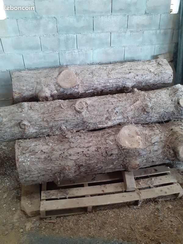 Bois (image 1)