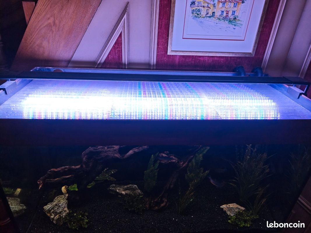 Fluval Rio 350 Aquarium Juwel Rio 350 + Fluval FX6 - Accessoires animaux