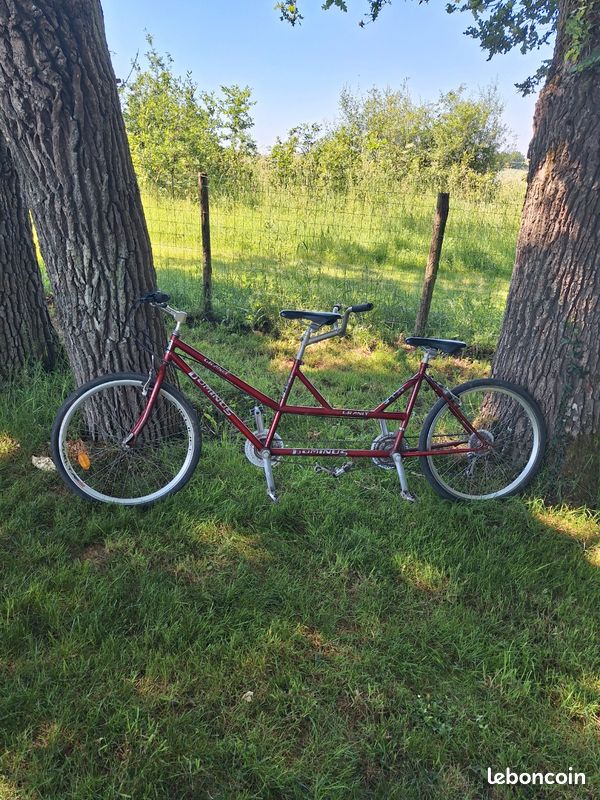 Tandem (image 1)