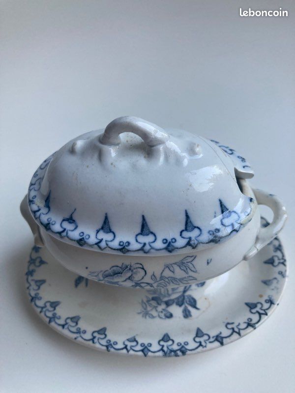 Moutardier ancien Flore (image 1)