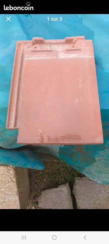 Tuiles plates beauvoises (image 1)