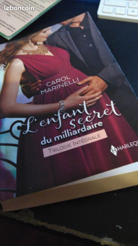 L enfants secret du milliardaire (image 1)