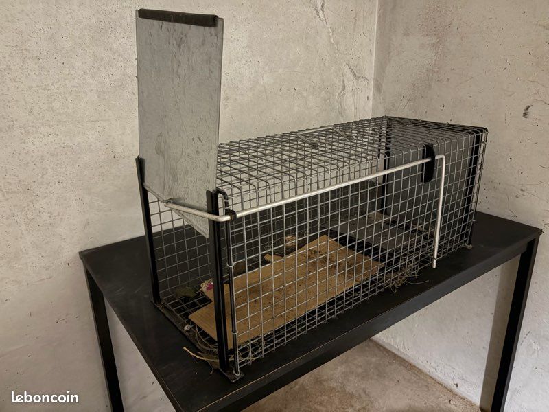 Cage chat (image 2)