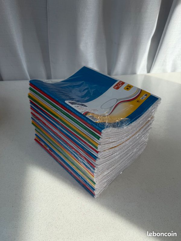LOT 3 CAHIERS 96 pages 24x32cm (image 1)