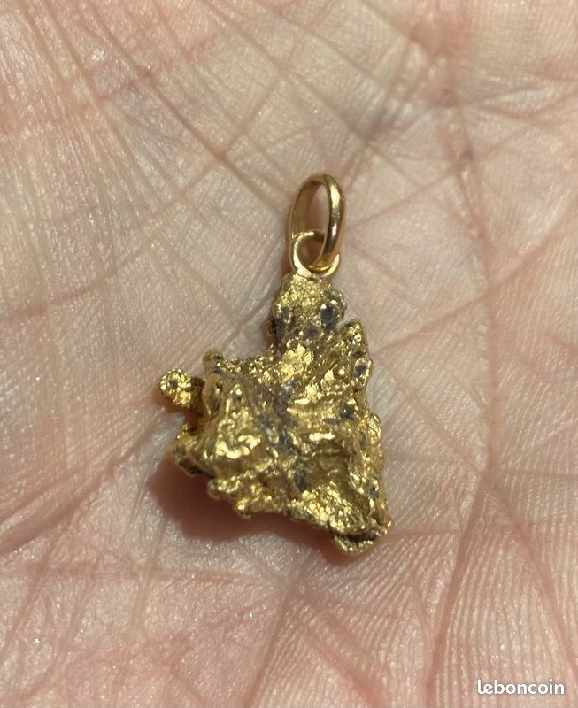 Pépite D’or Pur (or natif)Poids 9,69g (24 carats) (image 1)