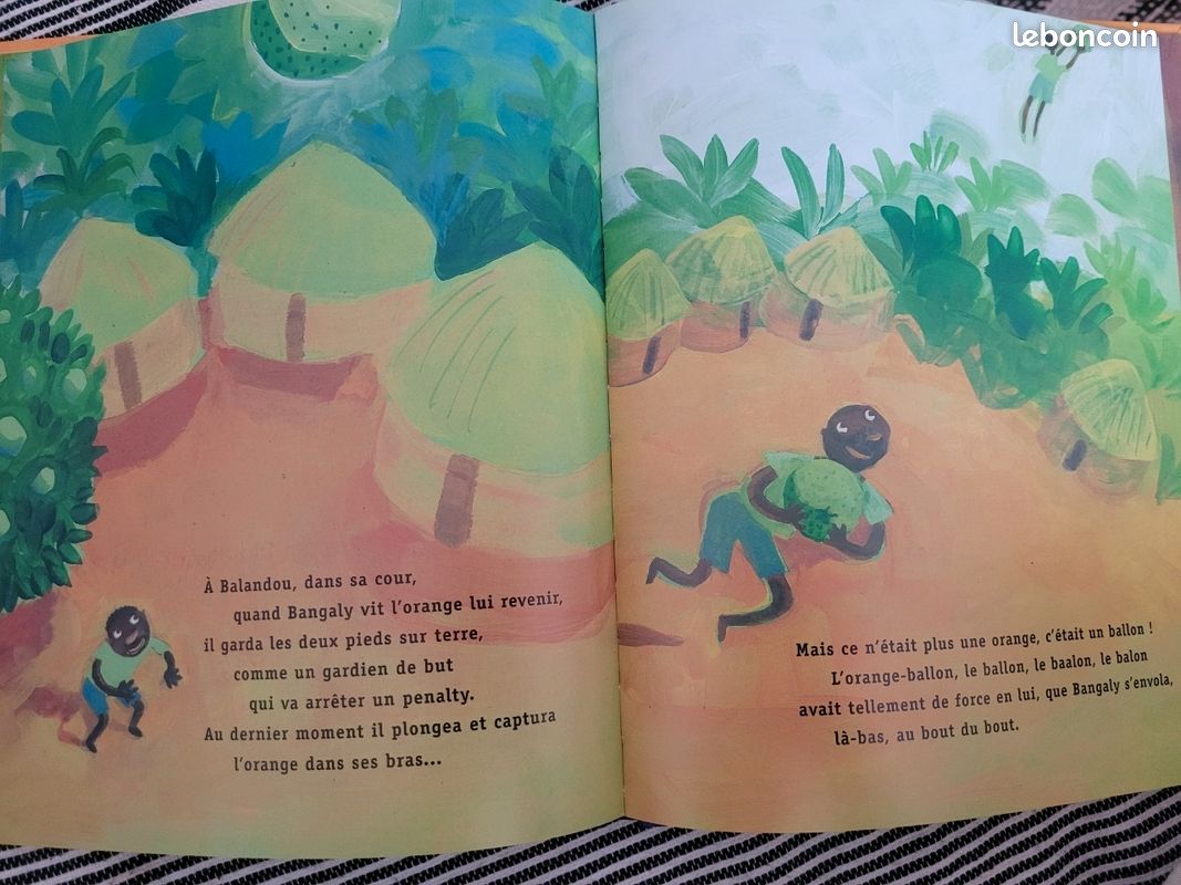 Livre "l'orange folle de foot" (image 3)