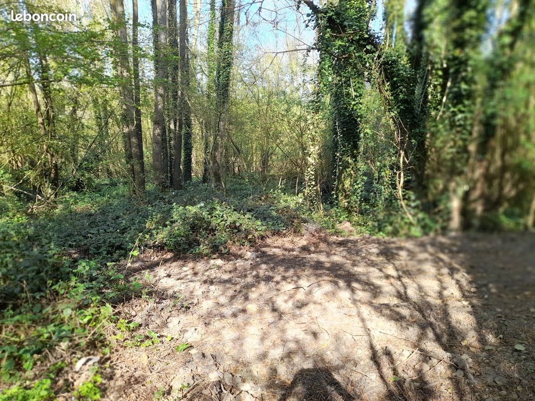 Terrain boisé non constructible 2653 m² · à Warluis · 14 900 €